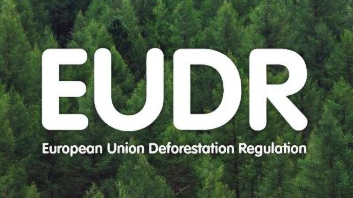 Vodiči za izvoznike drveta